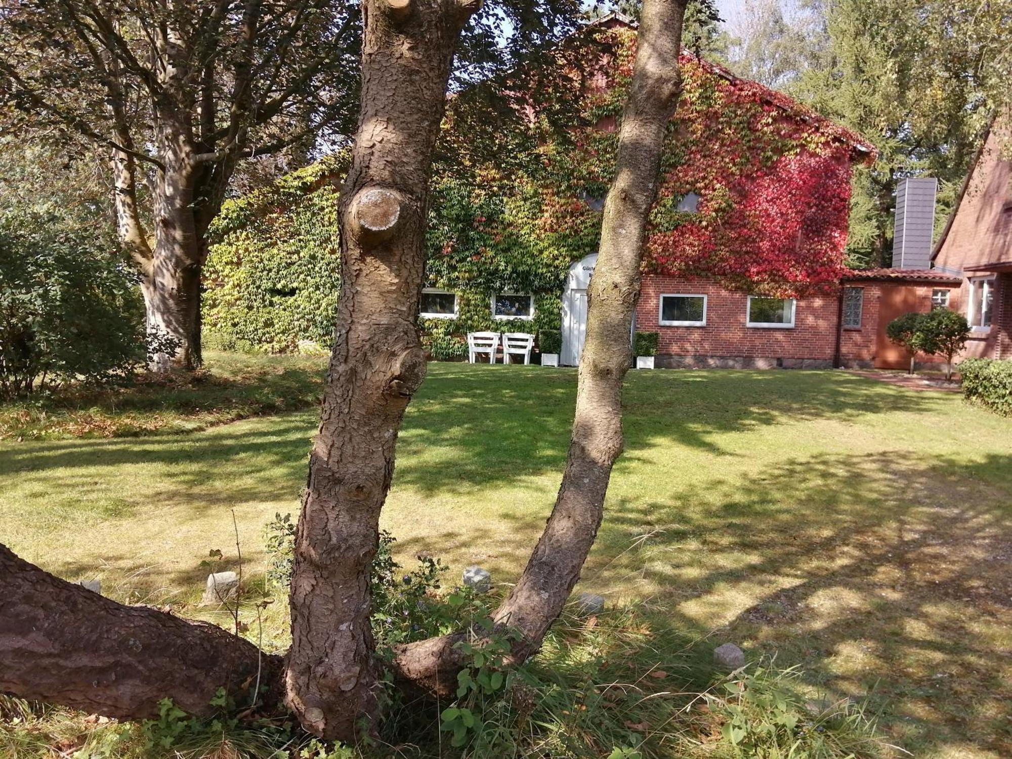 Ferienwohnung Benedict Klein Rheide Exteriör bild